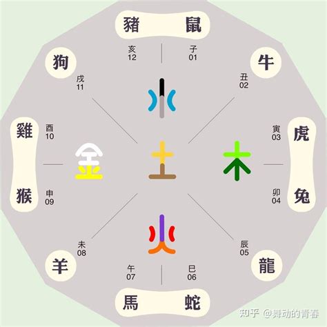 五行 生肖|十二生肖与五行的对照表 十二生肖代表什么五行